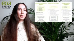 Экологическое проектирование: От атмосферы до отходов – Руководство от Экотренд