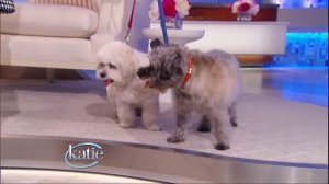 The Dog Show with Carrie Ann Inaba