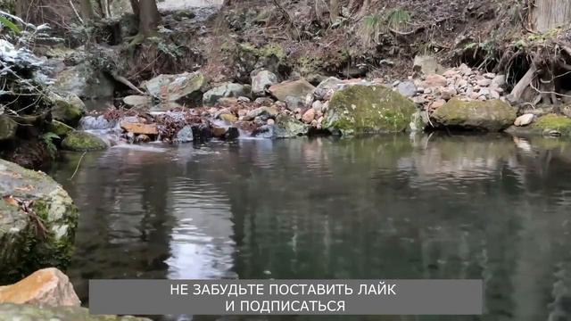 Тёще понравилось... Истории любви и измен. Любовные истории.  #историиизмен