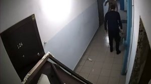 Камера в подъезде. Драка.  Дверь часть 2