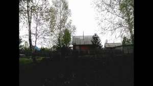 #Пчеловодство.#Сею гречку.