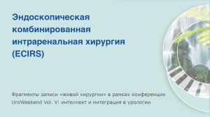 Эндоскопическая комбинированная интраренальная хирургия (ECIRS), А.Г. Мартов и А.С. Андронов