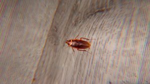 ЖИТЬ ОДНОМУ VS С РОДИТЕЛЯМИ 3| Каждый родитель такой//БЕРТ