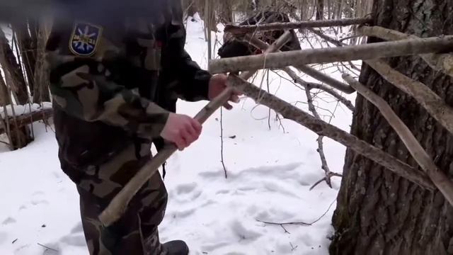 Восстановление популяции диких животных смотреть онлайн