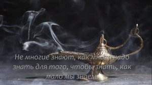Великолепные Арабские Пословицы и Поговорки, Которые Заставляют Задуматься. Цитаты Арабских Мудрецо