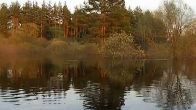 Мещера на байдарке в апреле 2012 смотреть онлайн