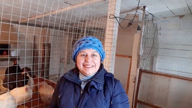 Можно ли давать курам чеснок смотреть онлайн