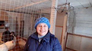 Можно ли давать курам чеснок