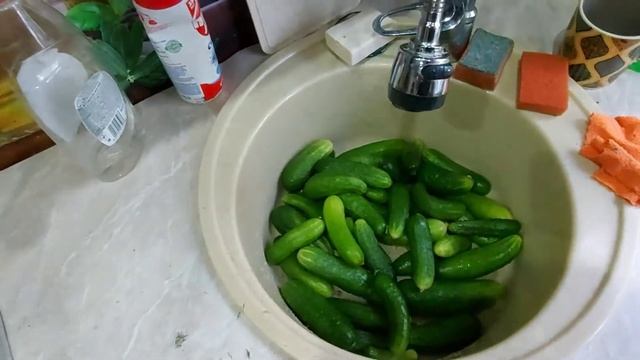 Малосольные огурцы.  На скорую руку .