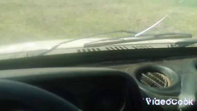 Ездили смотреть лошадей