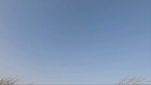 На утку и голубя с Эпаньол Бретоном!