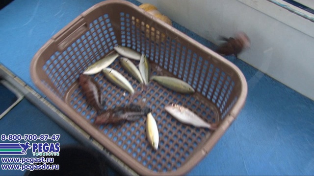 Таиланд 2013. Рыбалка. смотреть онлайн