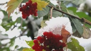 Поздняя осень.