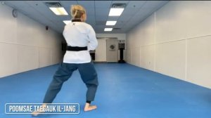 Poomsae Taegeuk IL-Jang