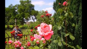 "А ГДЕ ТВОЙ ДОМ, ГУЦУЛОЧКА? - КАРПАТЫ!"..