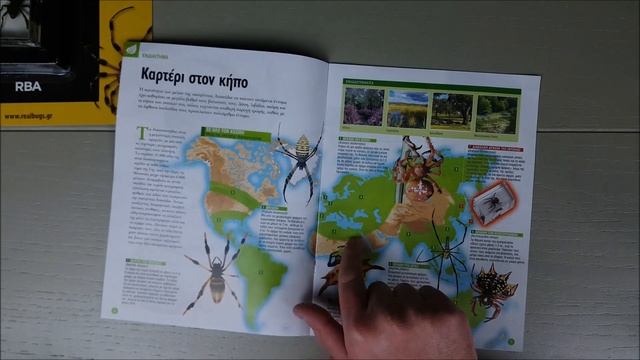 ΑΛΗΘΙΝΑ ΖΩΥΦΙΑ Τεύχος 2 | Η Διαβολική Αράχνη (Araneus ventricosus)! смотреть онлайн