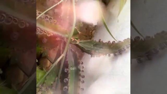 Best nature ever™ смотреть онлайн