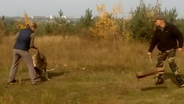 Лакенуа. Джокер. ? смотреть онлайн