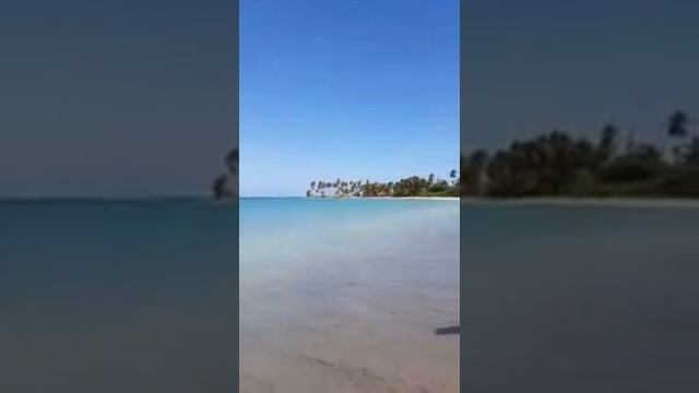 Republica Dominicana. Playa Costa Esmeralda. НА ПЛЯЖЕ ЭСМЕРАЛЬДА  #Shorts