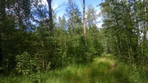 Поход выходного дня.  г.Первомайск Нижегородской области