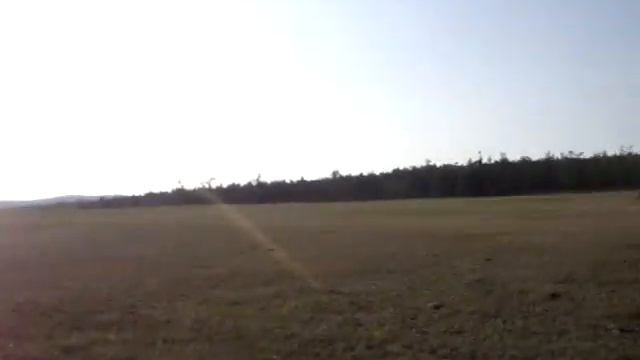 Одинокое дерево на Ольхоне (его видно из космоса) смотреть онлайн