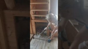 Кот принёс мышь в дом