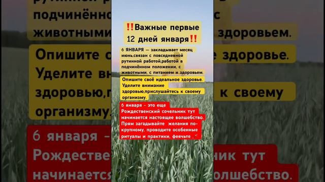 Больше информации читай в комментариях или в описание #12днейянваря #рождество2024