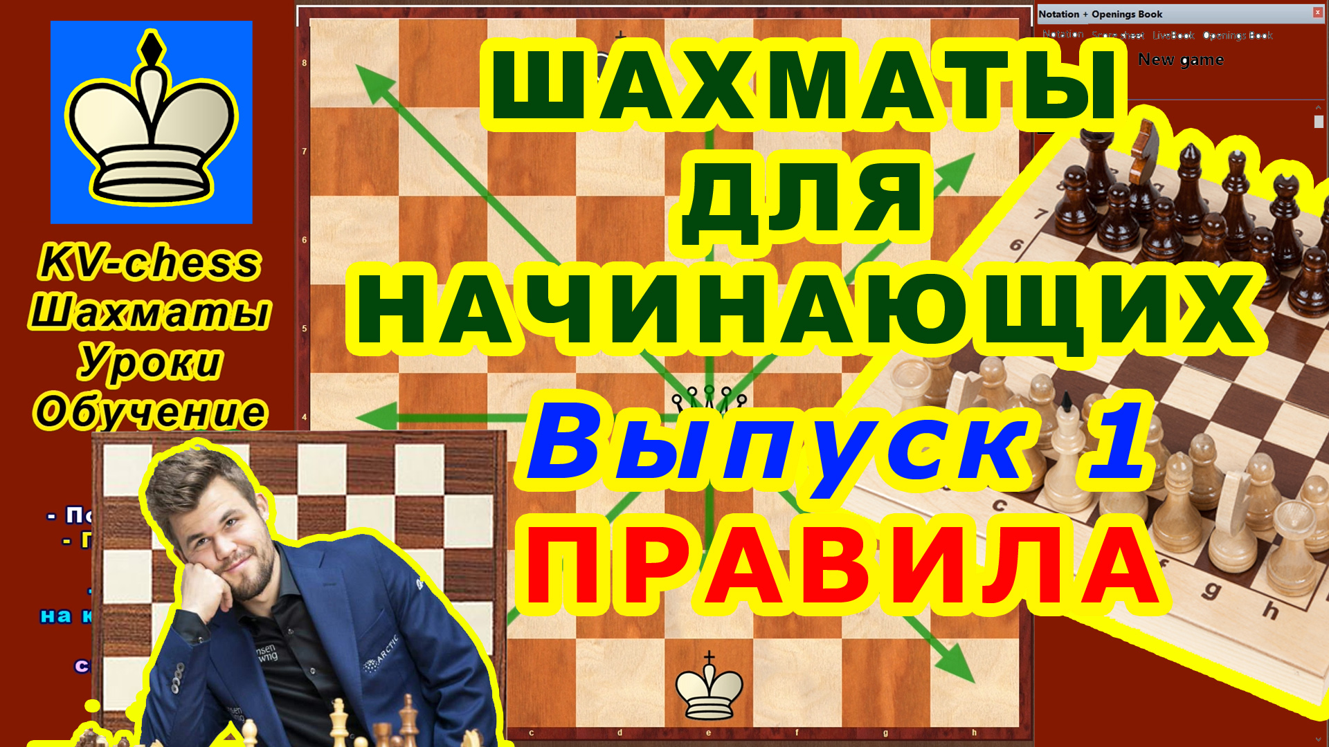 Шахматы для начинающих обучение. Самоучитель по шахматы для начинающих игре. Правила шахмат для начинающих.