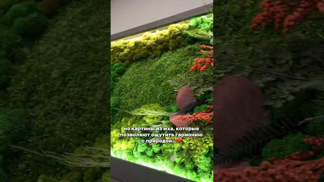 Успокоение, радость и гармония с природой - все это про картину из мха!🌿