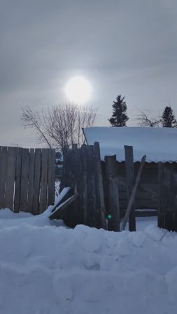 Тридцать первое января
