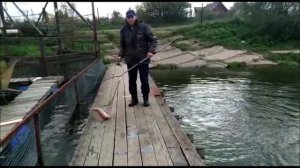 Ловля на спиннинг и поплавок! Поимки и сходы форели с 1 сектора.