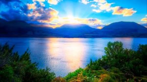 Плакася Адамо