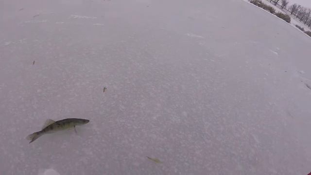 Открытие зимнего сезона 2018-2019 года! смотреть онлайн