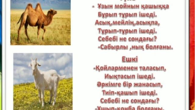 Әдебиеттік оқу 3-сынып. Суды қалай ішеді? смотреть онлайн