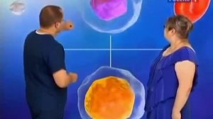 Хитозан   польза для человека  Природный целитель