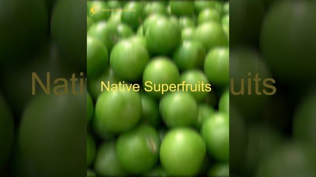 Exfoliant Serum by Native Biologique PH смотреть онлайн