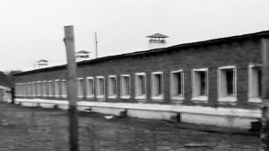 1967 год. Тюменский район. На Боровской птицефабрике.