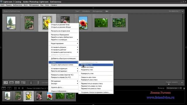 Как обрабатывать фотографии в лайтруме смотреть онлайн