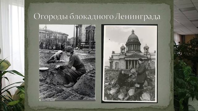 Ботанический сад Ленинграда – 900 дней блокады смотреть онлайн