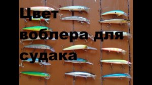 Цвет воблера для верхового судака