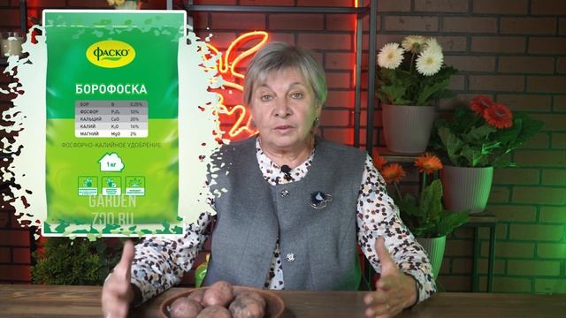 Почему картофель мелкий ✔️ Как вырастить большой картофель