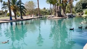 город Феникс штат Аризона