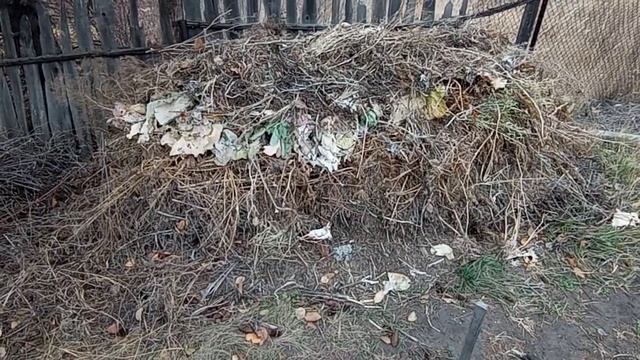 17 октября. Заготовка золы или утилизация дерева. смотреть онлайн