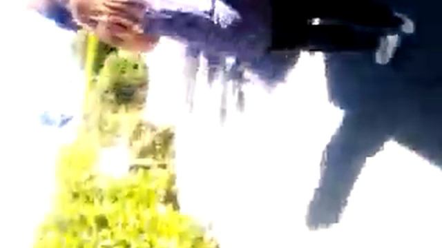 Water fight at robin hill смотреть онлайн