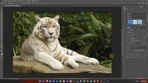 Ultimate Adobe Photoshop Training - From Beginner to Pro 2022 || Layers