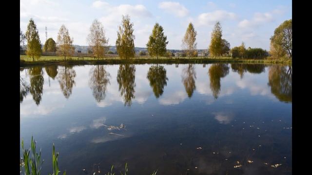 Тараканово фото часть 1 смотреть онлайн