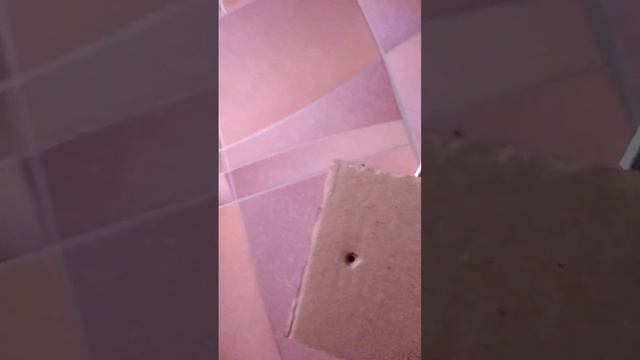 картонная видеокарта из картона