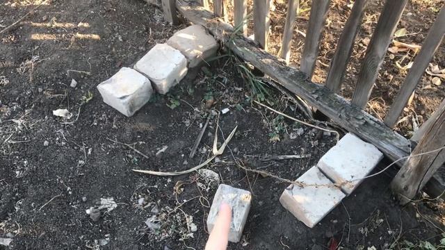 Крашу брови. Разбила телефон