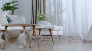 Камера видеонаблюдения IMOU Cue 2 - Smart Monitoring