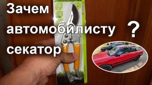 Зачем автомобилисту секатор